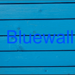 Bluewallplays avatar