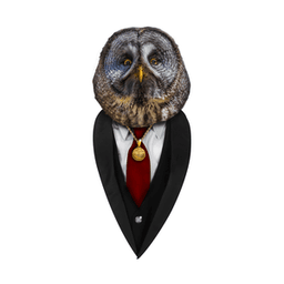 xTheRealOwlx avatar