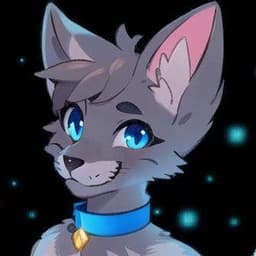 bandit_border_collie avatar