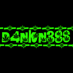 D4NKN3SS avatar