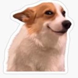 chesscraze avatar