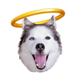 PaPaJDub avatar