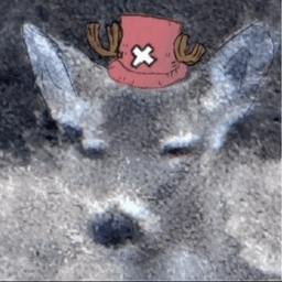 drewsul avatar