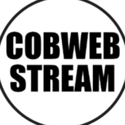 Cobweb_Stream avatar