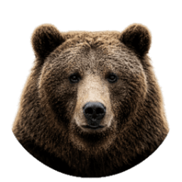 DontPokeTheBearTV avatar