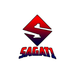 SAGAT1 avatar