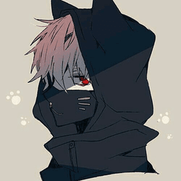 SSDark_Moon avatar