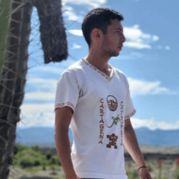 theferpl4y avatar