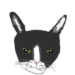 NaTin0 avatar