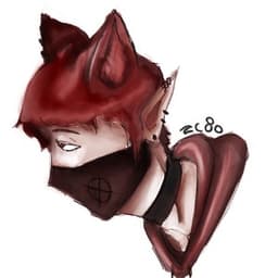 secretninjavt avatar