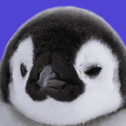 pocketmotch avatar