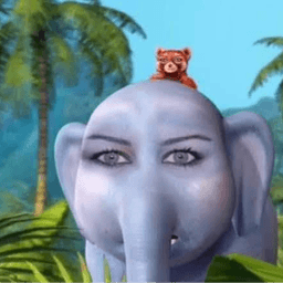 chibarron_ch avatar