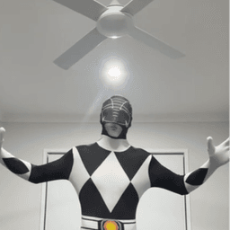 BLACK_POWDER_RANGER avatar