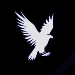 memento_morin_0030 avatar