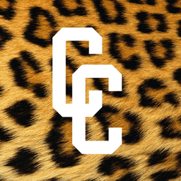ChubbyCheetah80 avatar
