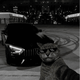 Loski999_ avatar