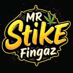 MrStikEFingaz avatar