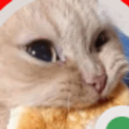 CasanovaDF avatar