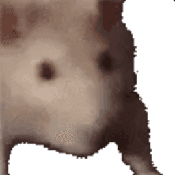 iNolis avatar