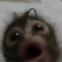 TheSquidNug avatar
