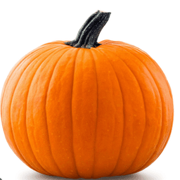 mrpumpkinman1203 avatar