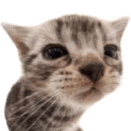 IISnoopyll avatar