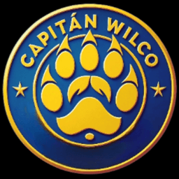 CapitanWilcoTwitch avatar
