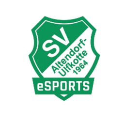 svaesports avatar