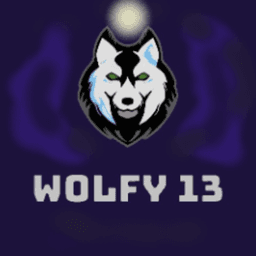 wolfyyy_13 avatar
