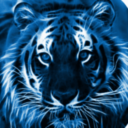 harooooo1 avatar