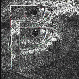 klo_e_1 avatar