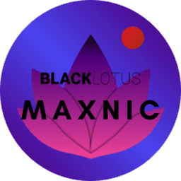 BLCKLTS_Maxnic avatar