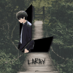 vLARAY avatar