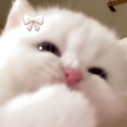 sashawaify avatar