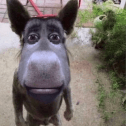 shrekski2 avatar