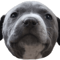 MrRag3r avatar