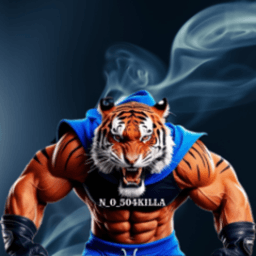 N_O_504killa avatar
