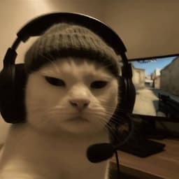 cyberxenigma avatar