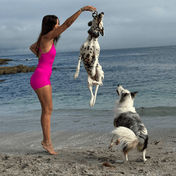 martamarinpr avatar