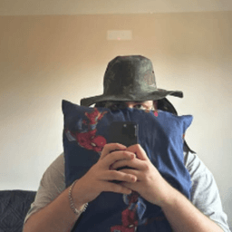 domzezaum avatar