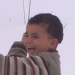 rexluti avatar