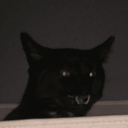 Nyahxel avatar