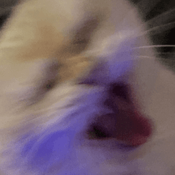 janjanskan avatar