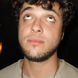 domminicko avatar