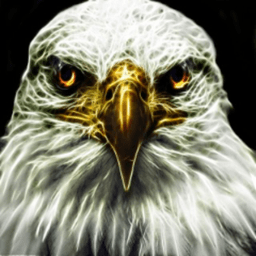Fearlesstr avatar