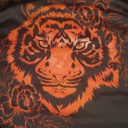 xblind_tigerx avatar
