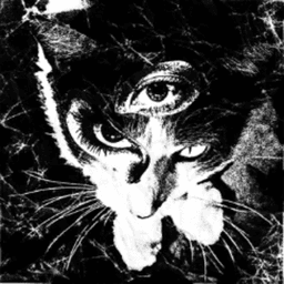 vanishrx avatar