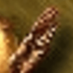 FriendlyFiutonaczi avatar