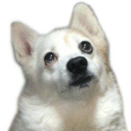 Gunzee2 avatar
