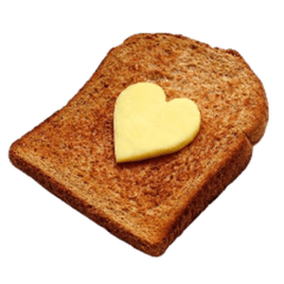 n0isytoast avatar
